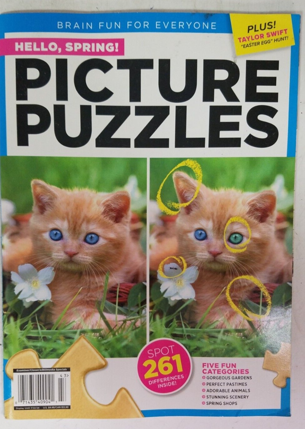 Brain Fun Picture Puzzles Hello Spring 2024 | eBay