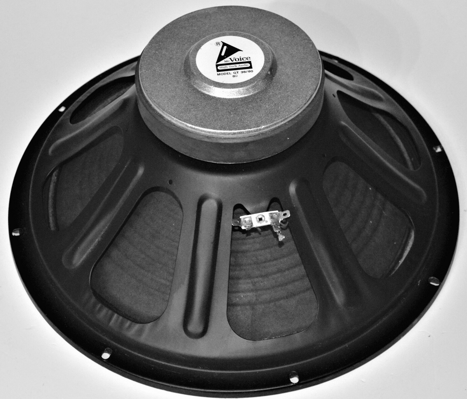 2 X 38cm 15 Zoll Mc Voice Gt 38 80 Pa Basslautsprecher 8 Ohm Aluminium Korb 15 Aus Dem Ebay De Preisvergleich Bei E Pard