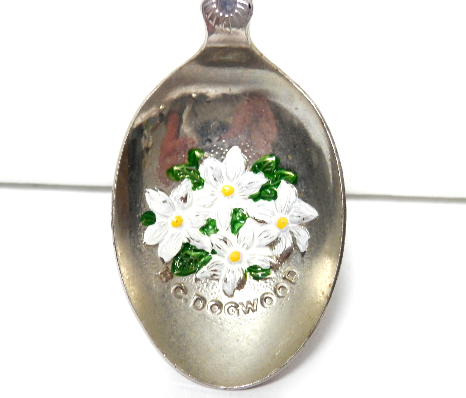 Vintage British Columbia CANADA Souvenir Spoon Dogwood Flowers Manning Park 5
