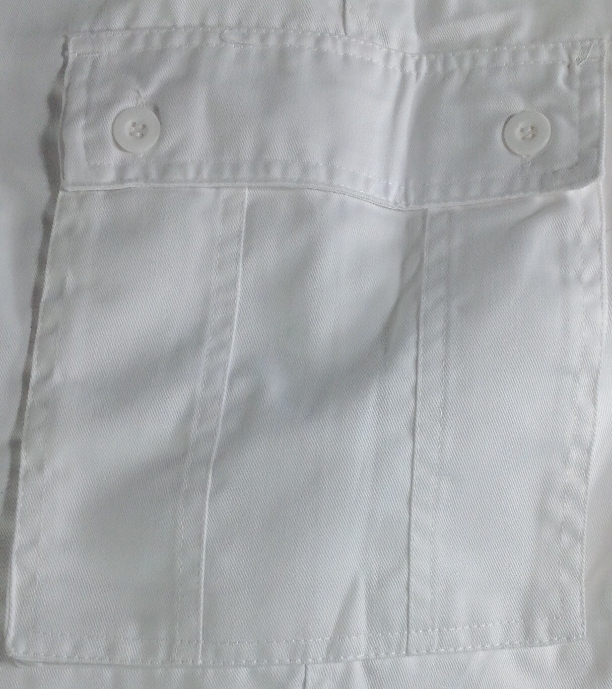 Шорты Brooklyn State Cargo Long Shorts 