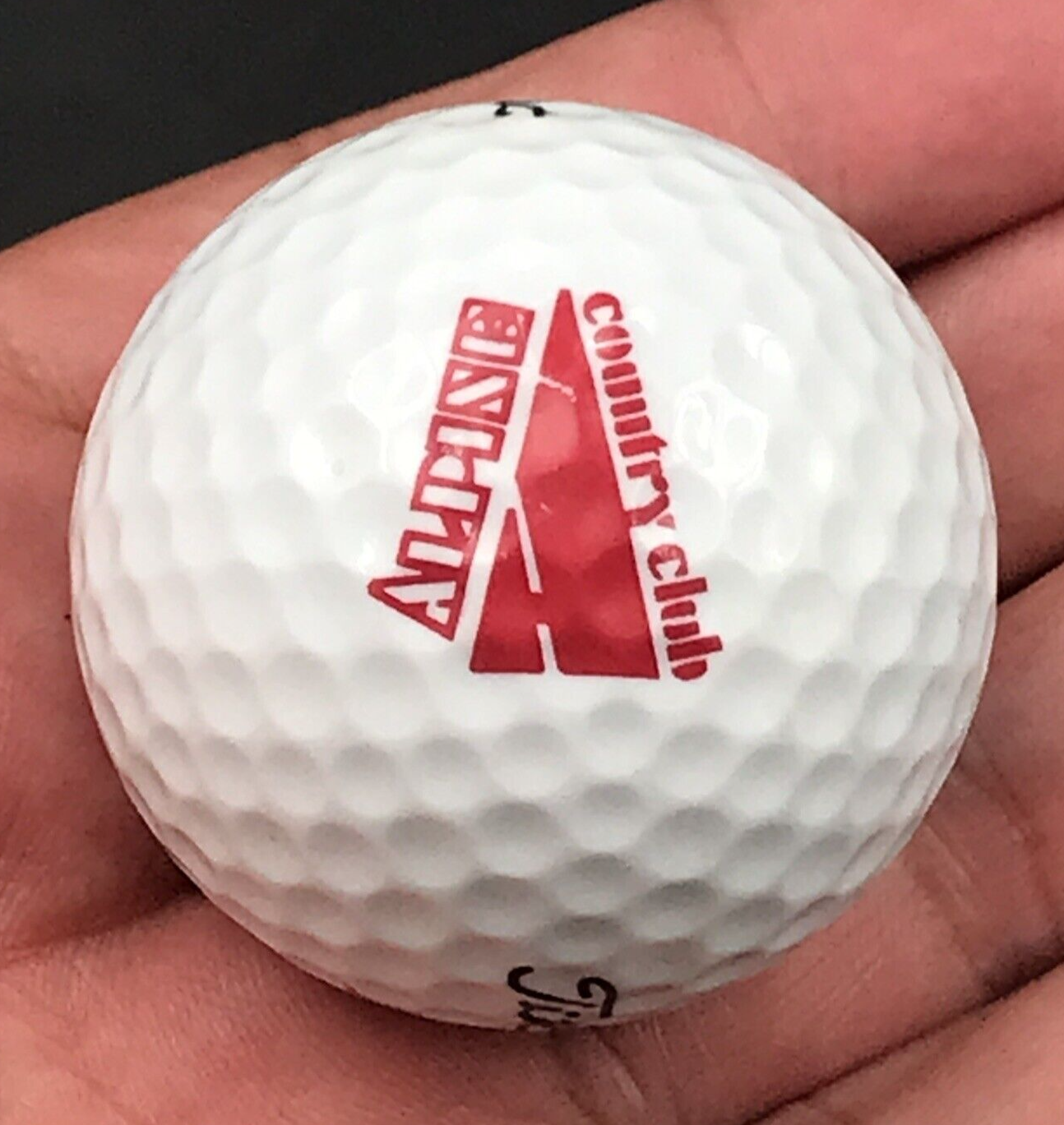 Alpine Country Club Demarest NJ New Jersey Souvenir Golf Ball Titleist DT 90