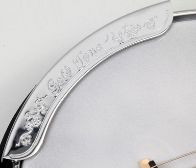 Gold Tone AC-6+ GT Series Banjitar