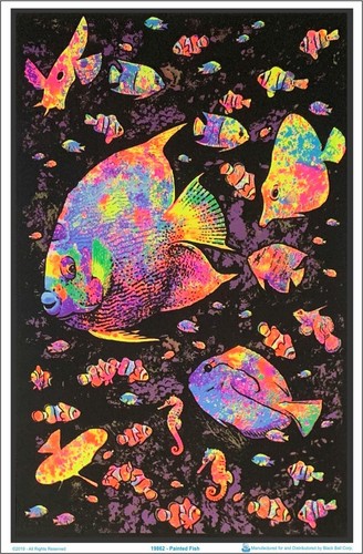 Painted Fish Blacklight Poster 23 x 35