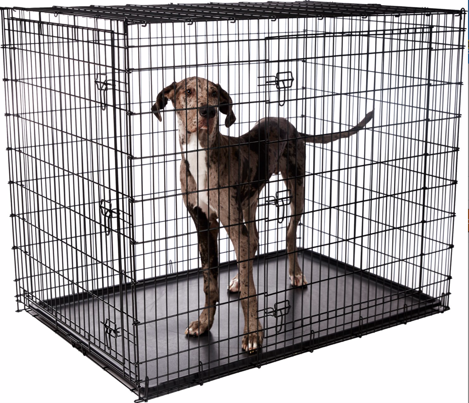 Frisco XX-Large Heavy Duty Double Door Dog Crate, 54-in Free Shipping