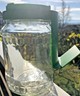 Eschenfelder keimglas