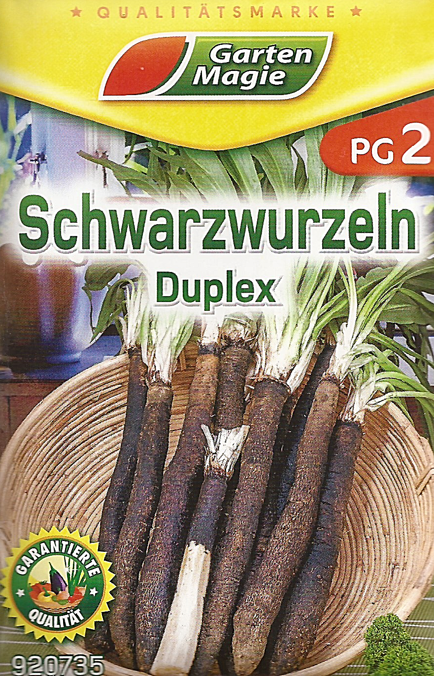 Schwarzwurzeln, Schwarzwurzel: Saatgut, Samen 