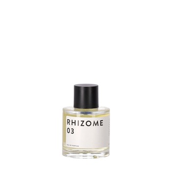 

Rhizome 03 Edp 100 мл Духи унисекс Унисекс, Желтый