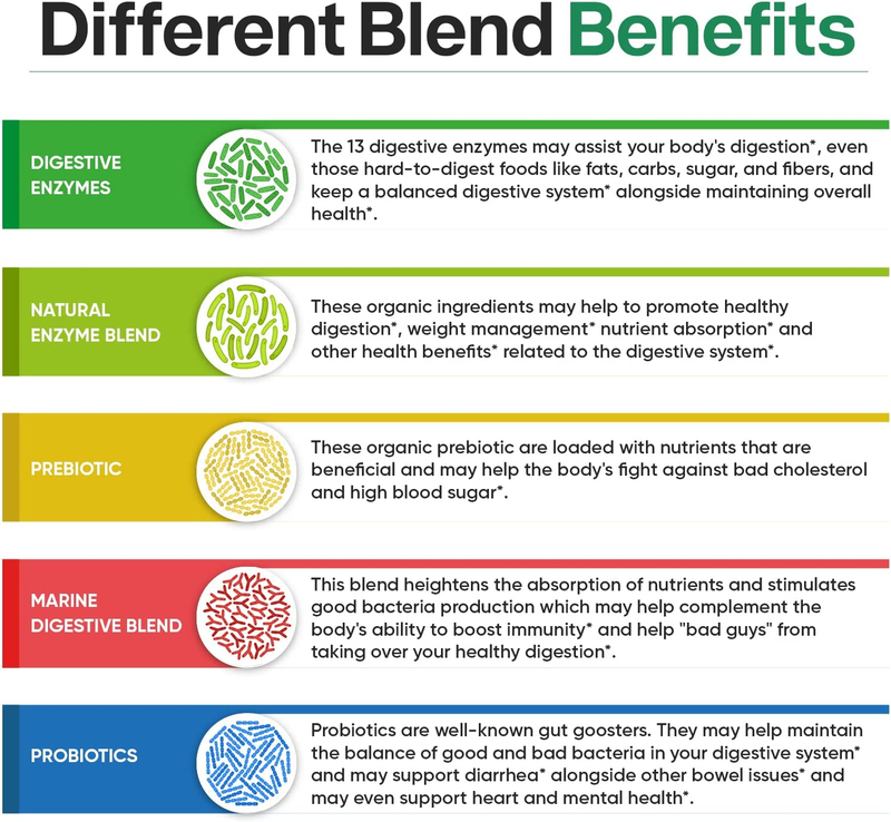 Wholesome Wellness Digestive Enzymes 1000MG - 180 Capsules, Organic Plant-Based 