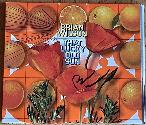 中古CD Brian the Sun 61A+txFX2-L._UF1000,1000_QL80_.jpg