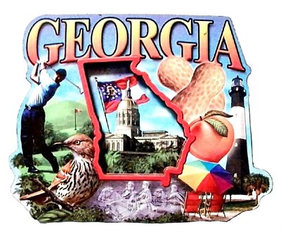 Georgia Montage Artwood Fridge Magnet
