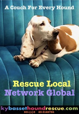 Ky Basset Hound Rescue