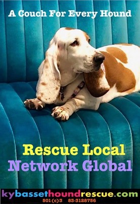 Ky Basset Hound Rescue