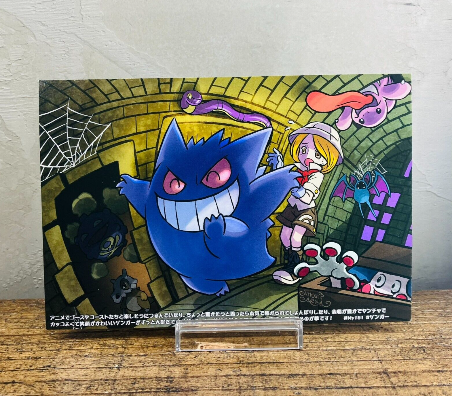 PSA PSA 10 鑑定 ポケモンセンター MY151 キャンペーン リザードン