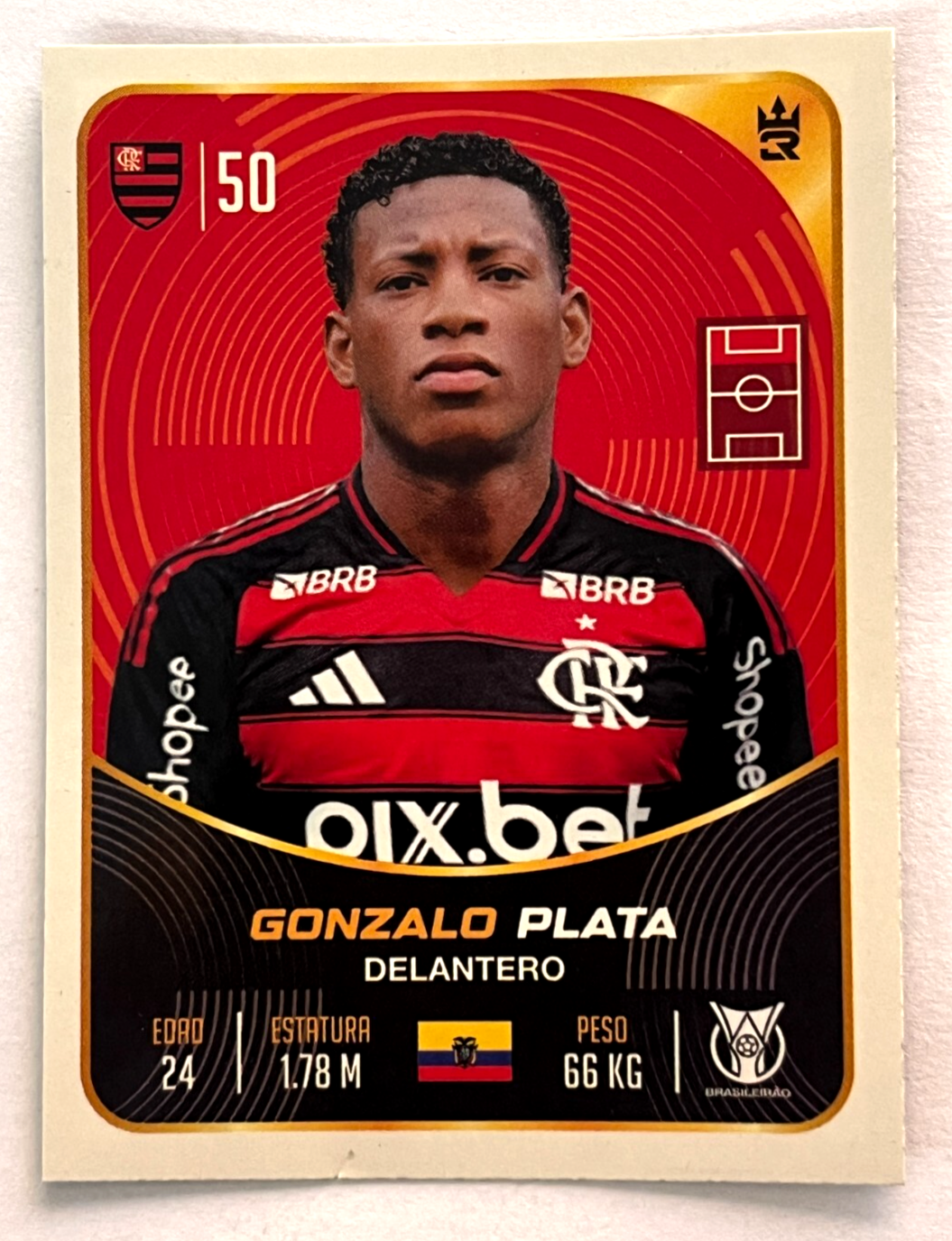 PUMA1978サッカーワールドカップ　アルゼンチン大会記念ステッカー PAN08】【国内未発売】Topps アルゼンチン代表 2024 ステッカー