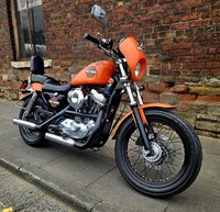 2001 Harley-Davidson Sportster Sportster Petrol Manual