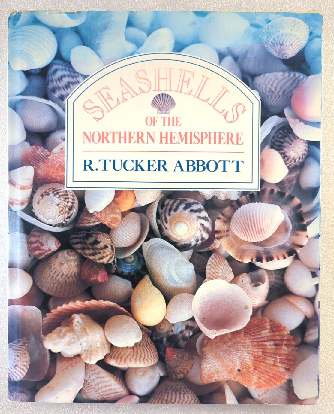 Seashells Of The Northern Hemisphere by R Tucker Abbott