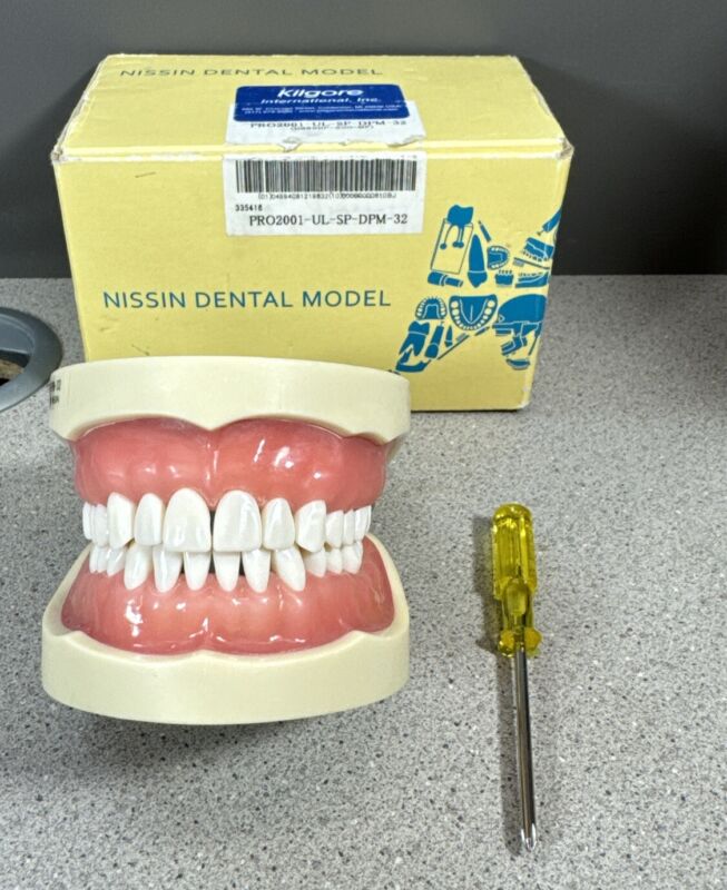 Kilgore Nissin Dental Model Pro2001-UL-SP-DPM-32