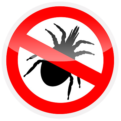 Milbenschutz Kissenbezug  Allergiker Encasing Allergiker Bettwäsche