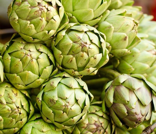 Artichoke Gros Vert De Laon - 10x Seeds - Vegetable