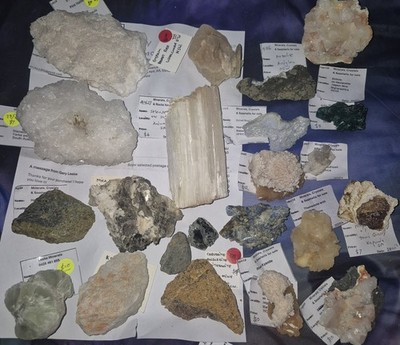 Fotos del artículo de un comprador verificado