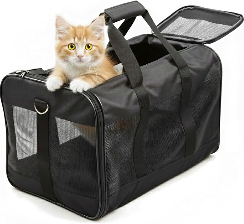 Airline-Approved Cat Carrier, 17