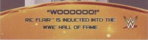 2015 Topps WWE - Ric Flair #8