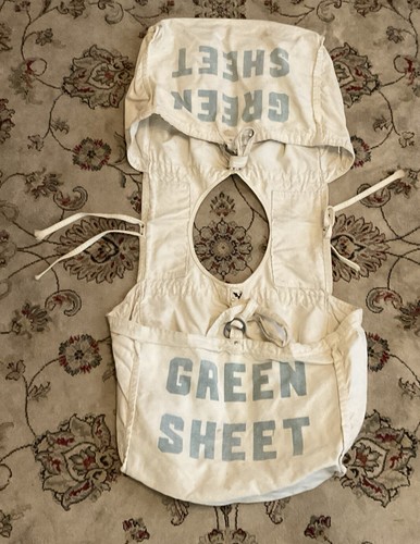 Vintage Green Sheet Daily News Paperboy Canvas Newspaper Vintage Green Sheet Daily News Paperboy Canvas Newspaper