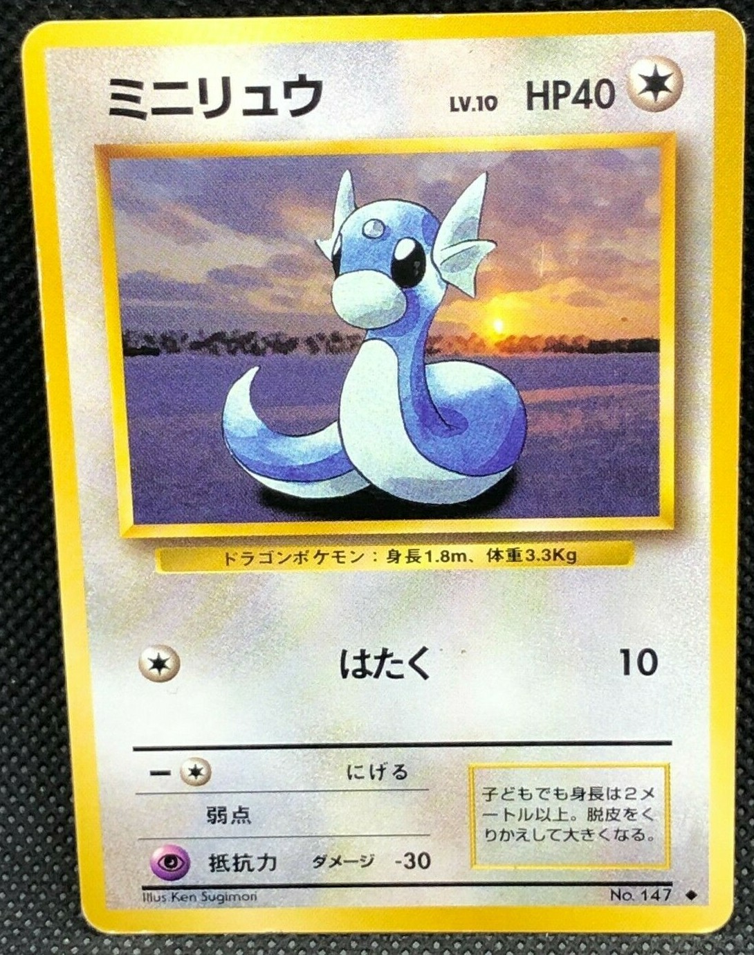 世界10枚 PSA10 ミニリュウ dratini 2004 008 35 Dratini