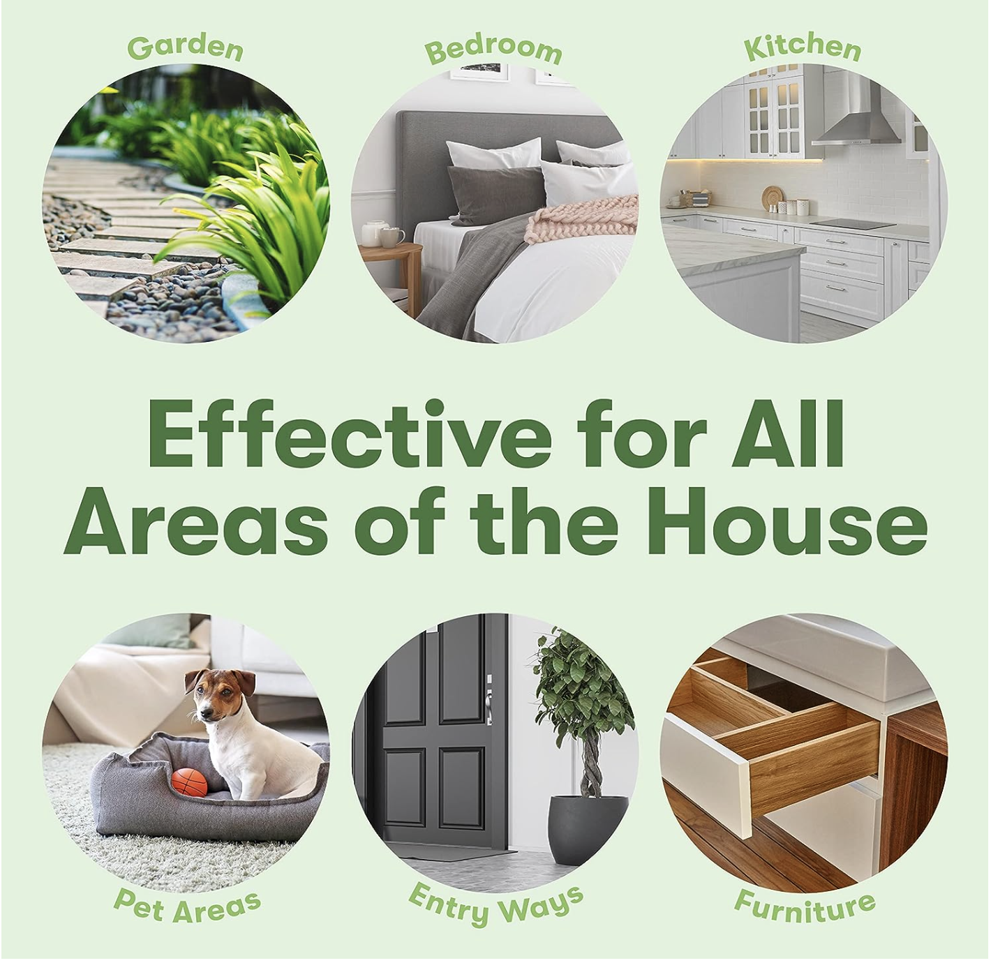 BugMD Pest Control Essential Oil Concentrate for Home Bed Bug Spray 3.7Oz 2-Pack