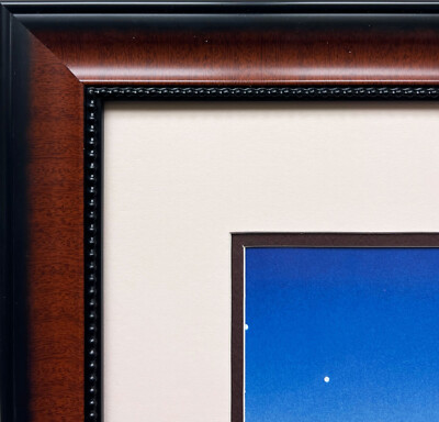 R.C. Gorman "La Noche" NEWLY CUSTOM FRAMED Lithograph SOUTHWEST ART NEW Navajo