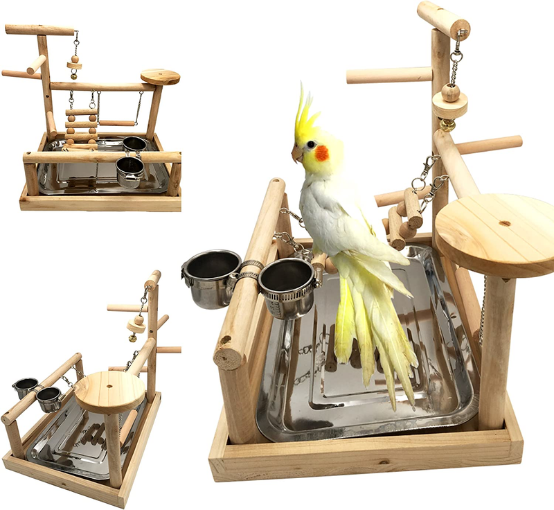 Parrots Playstand Bird Playground Wood Perch Gym Stand Exercise Toy Feeder Cups