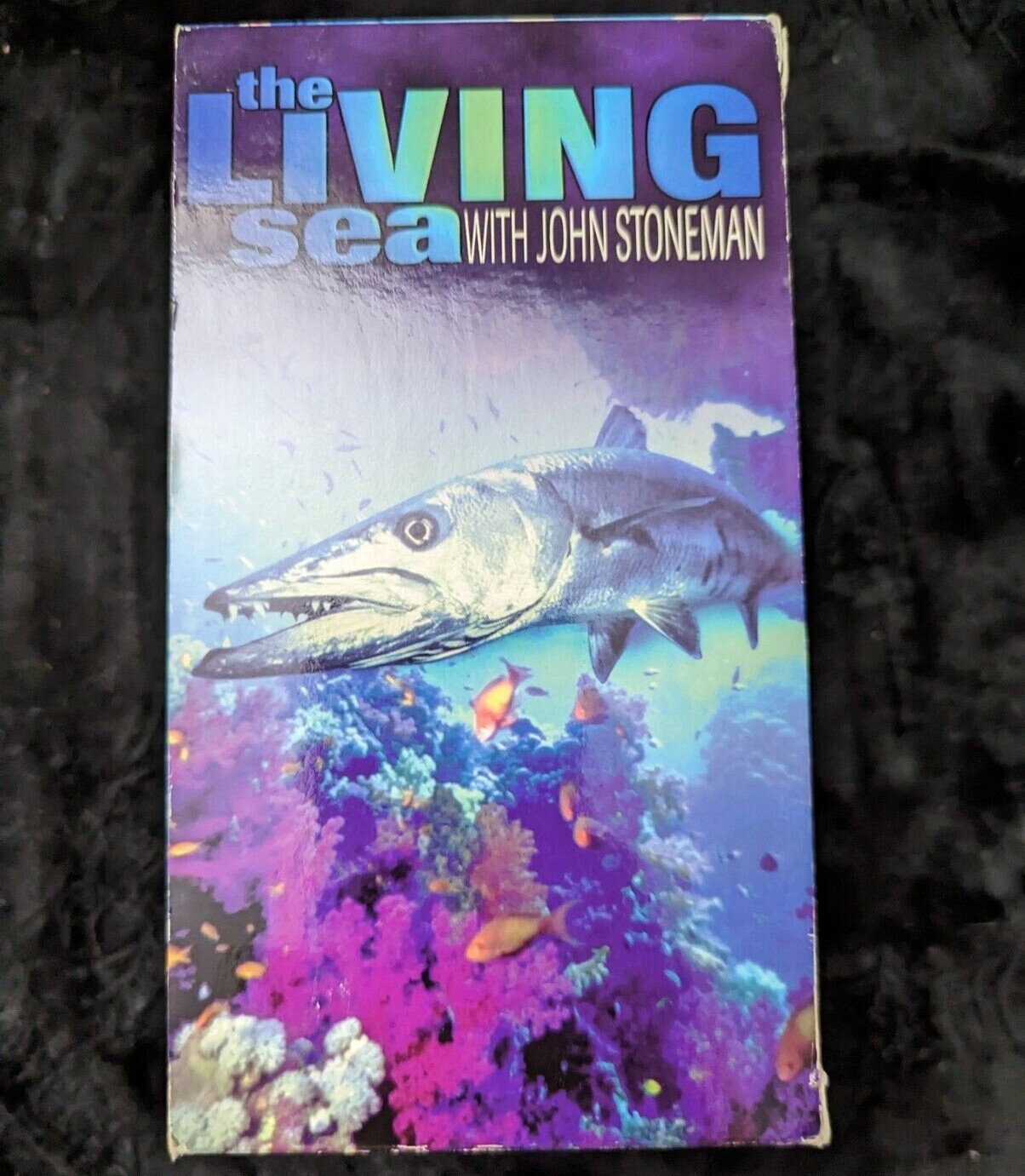 IT'S A LIVING×DICKIESxWIND AND SEA $_32.JPG?set_id=880000500F