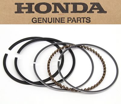 【本日まで】Vintage Clone Parts エスカッション PUリング Yahoo!オークション - vintage clone parts エスカッション