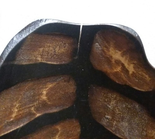 Wooden Leaf Shaped Bowl