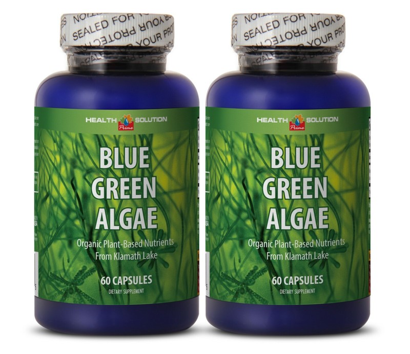 Sustainable Energy - BLUE GREEN ALGAE ORGANIC - Renewable Resource