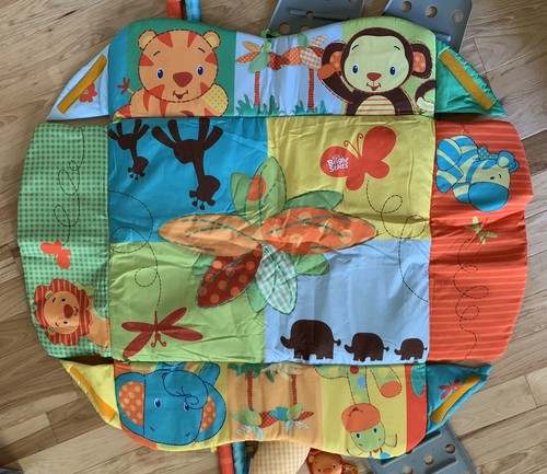 bright starts swingin safari