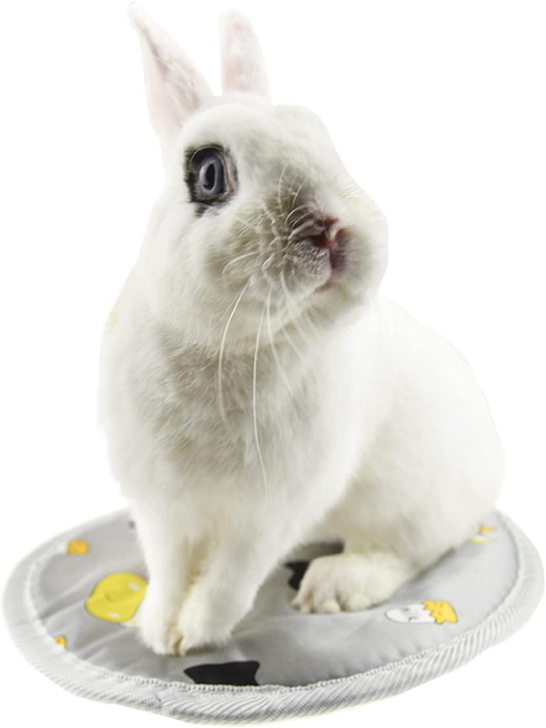 For Pet,winter Warm Squirrel Hedgehog Chinchilla B