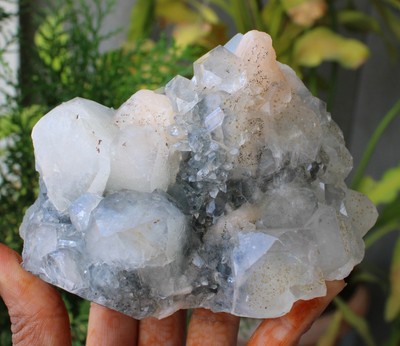 Apophyllite Crystals w/ Stilbite On Matrix Minerals Specimen India #M8