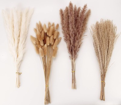 Dried Pampas Grass Decor 100 PCS Pampas Grass Contains Bunny Tails Dried Flow...