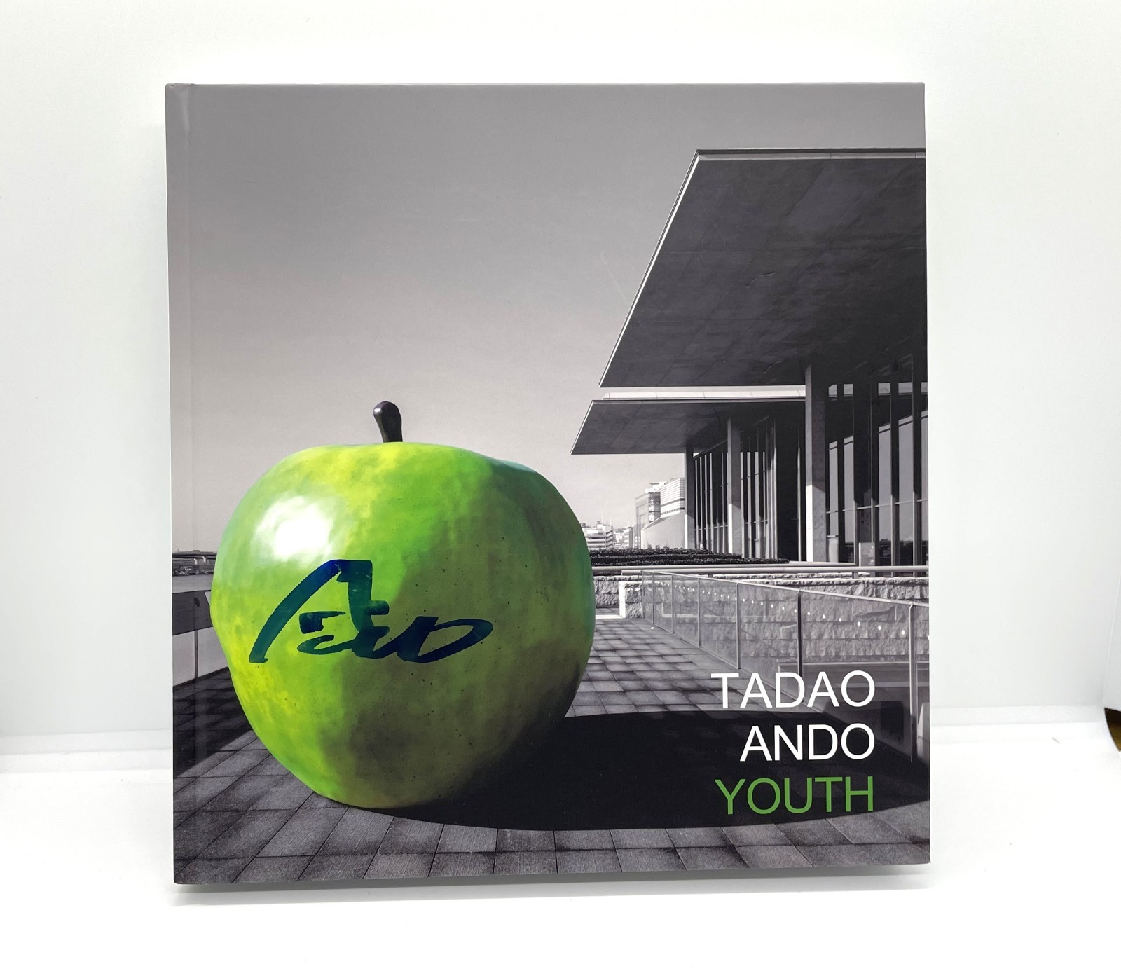 Tadao Ando Youth Art Book Signed Limited Edition Japan