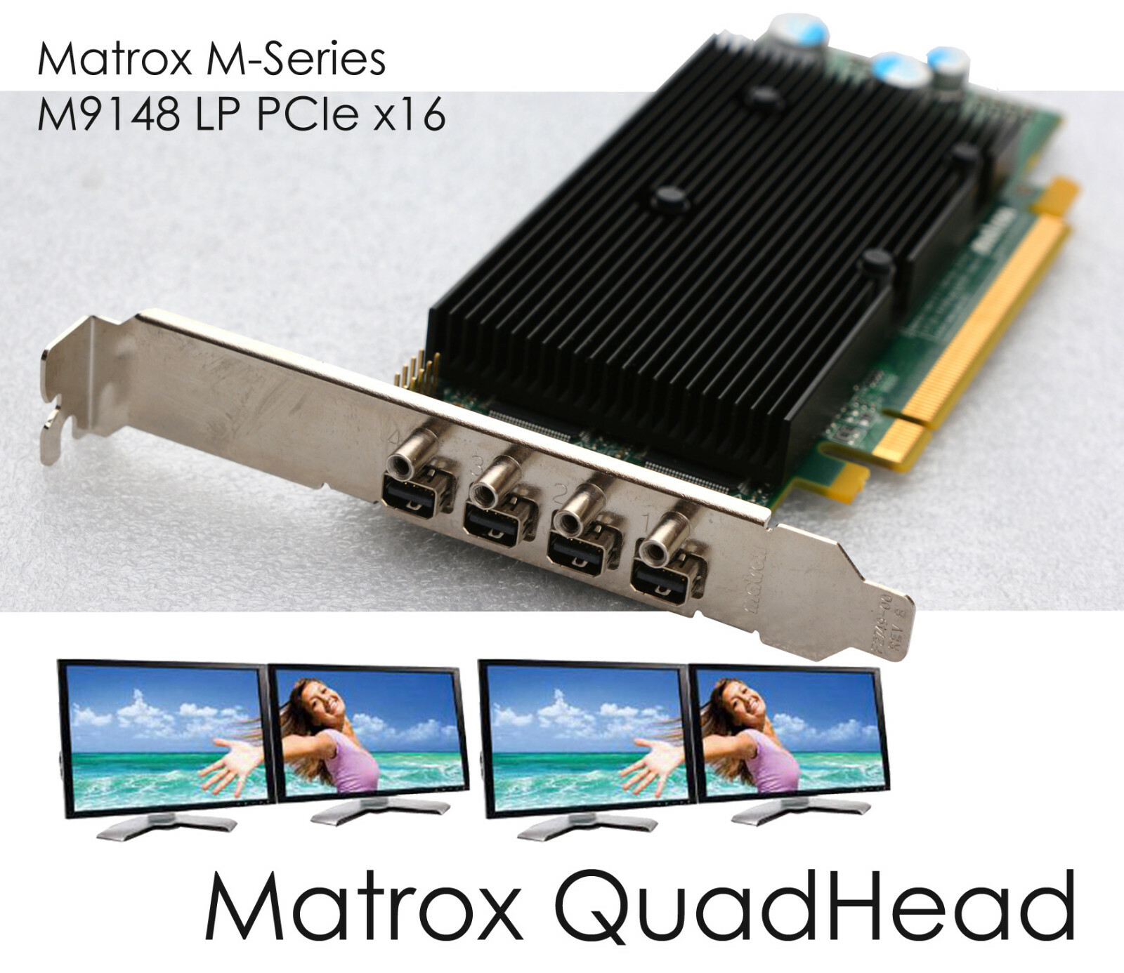 新品 Matrox M9125 PCIe x16 業務用 グラフィックボード