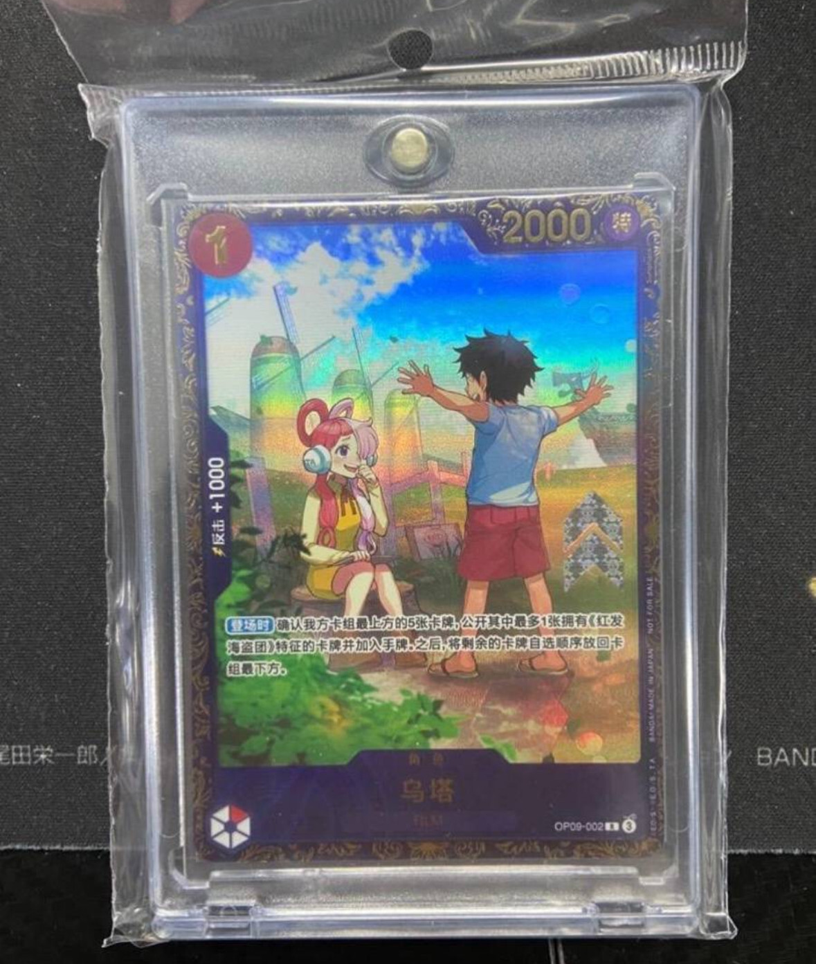 その他 TY TCG STORE $_57.JPG