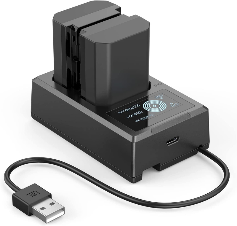 2 Pack NP-FZ100 Battery and Charger Kit 2040Mah, Dual Charger with USB-C Port fo | eBay 2 Pack NP-FZ100 Battery and Charger Kit 2040Mah, Dual Charger with USB-C Port fo | eBay