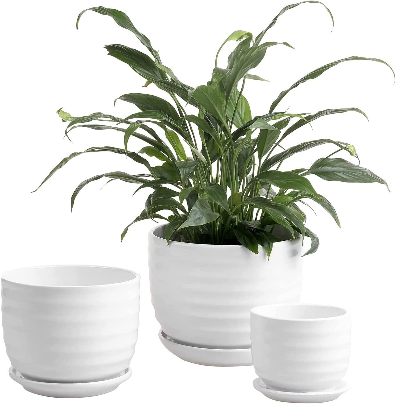 White Ceramic Planter Pot / 6