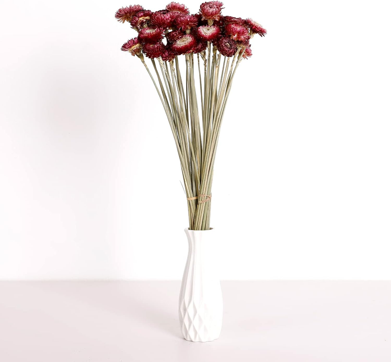 Dried Flower 40PCS Daisy Bouquet 100% Natural Chrysanthemum Dry Flower for Vase