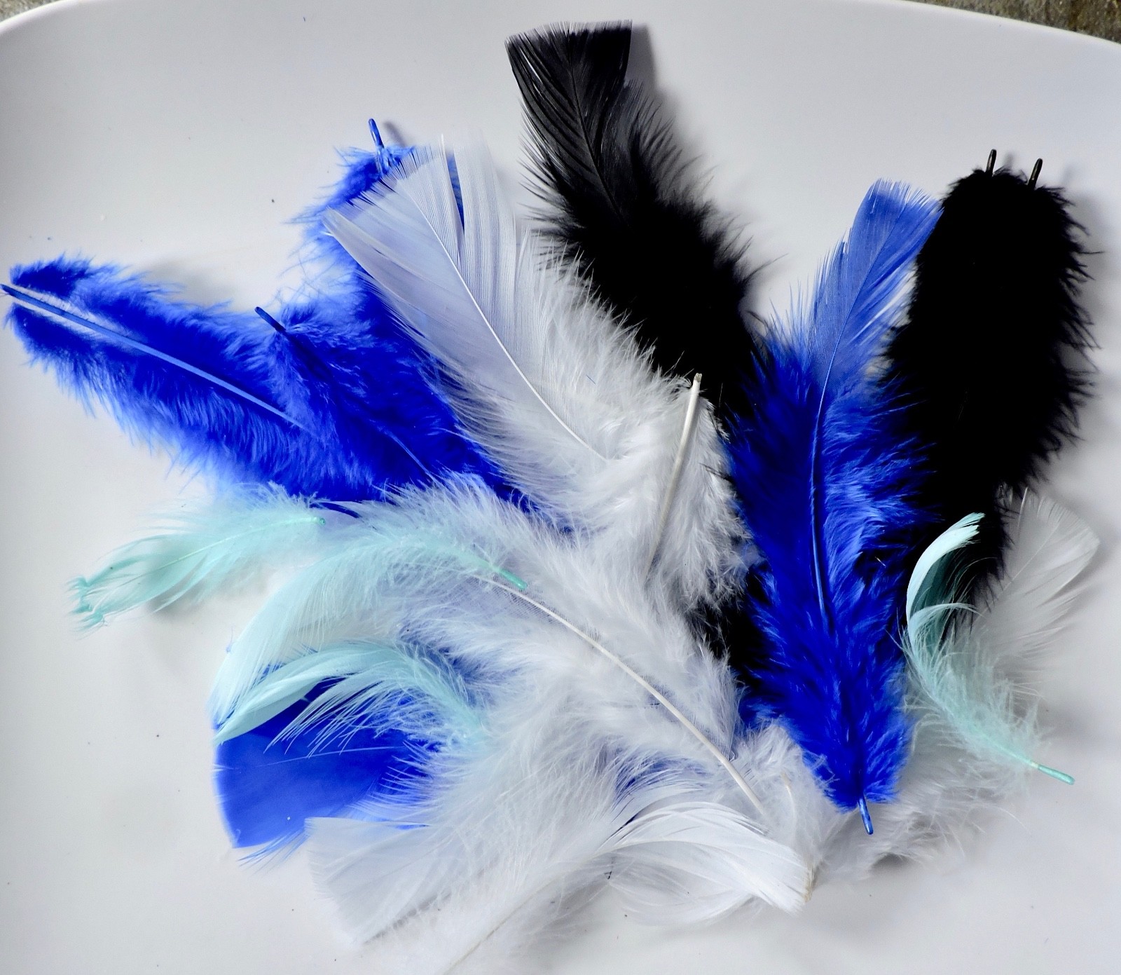 365+ Dyed FEATHERS, Black/White/Mint/Blue, Crafts, Fly Tying, Dream Catcher, etc