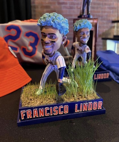 New York Mets Citi Field SGA Francisco Lindor Grass Growing