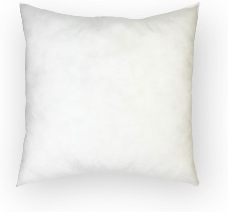 Pillow Insert/Decorative Pillow Inserts/Hypoallergenic Inserts/Pack of 1 (18x18)
