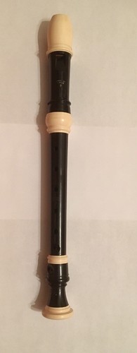 Stanesby Junior Zen On Soprano Recorder With Case And Cleaner Japan GUC 13” Long