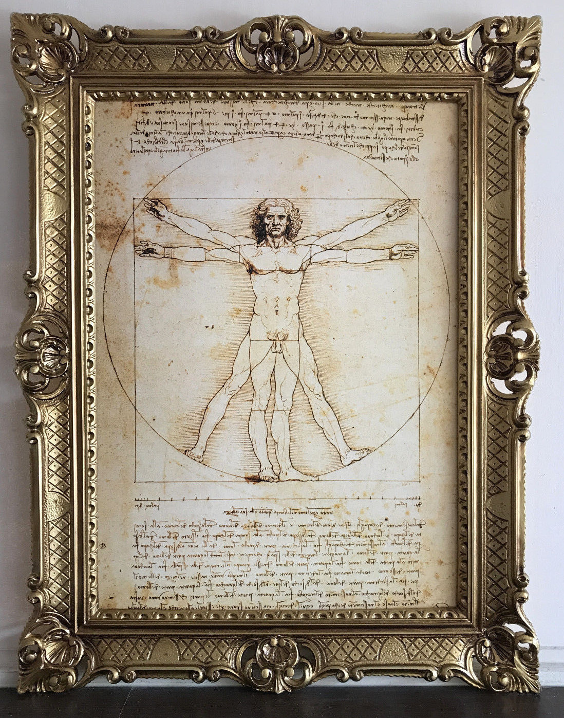 Wandbild Bild von Leonardo da Vinci Vitruvian Man Vitruvianischer Mensch 90x70 eBay